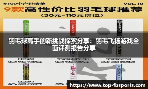 羽毛球高手的新挑战探索分享：羽毛飞扬游戏全面评测报告分享