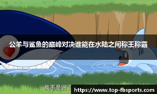 FB体育官方平台官网